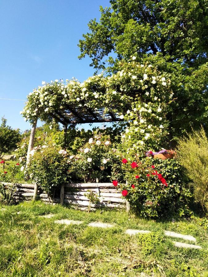 Sotto La Luna Bruna B&B Cocconato Buitenkant foto